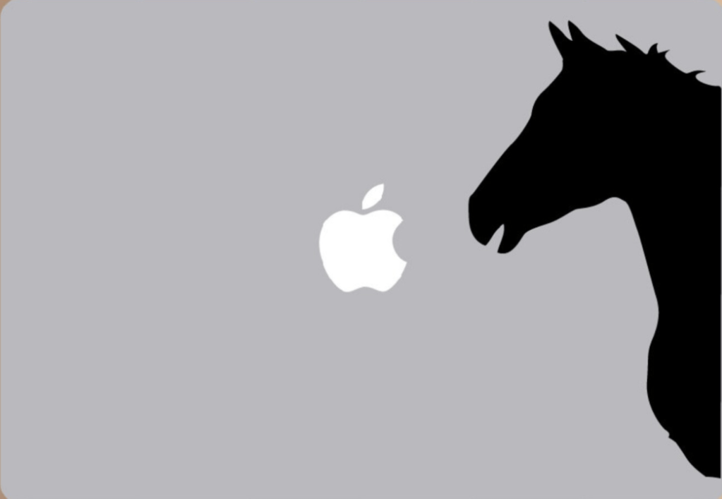 Horses, Hackers, and&nbsp;Hiring